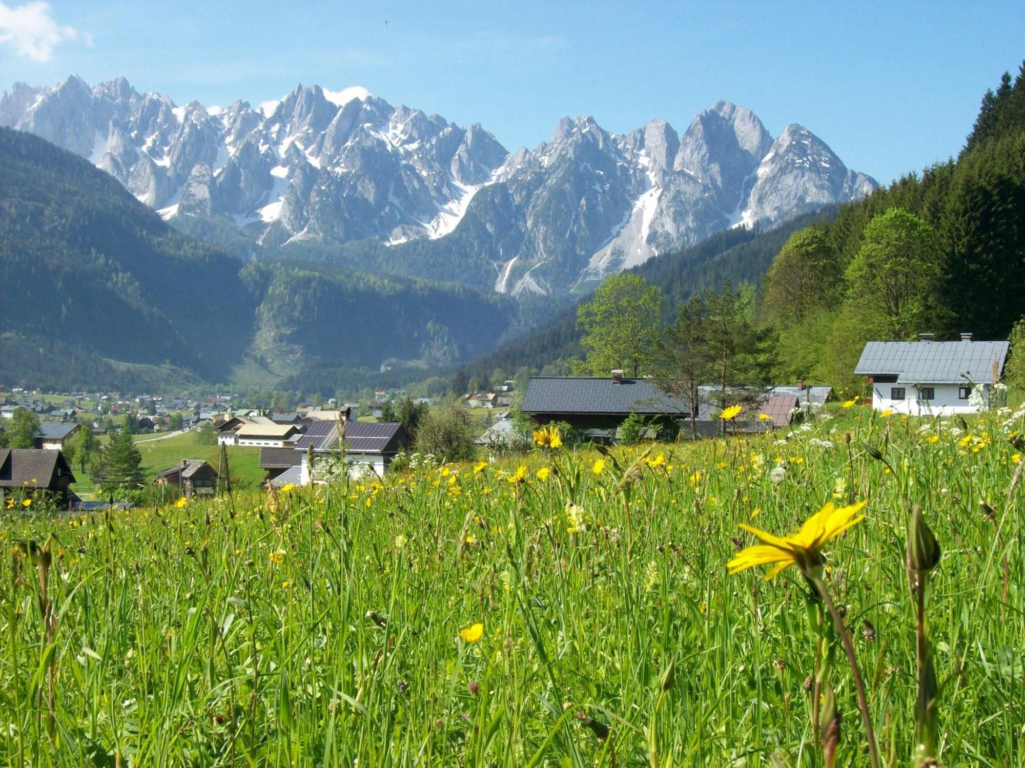 Sunseitn Apartments Gosau Exteriör bild
